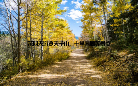 第四天游览天子山、十里画廊等景点