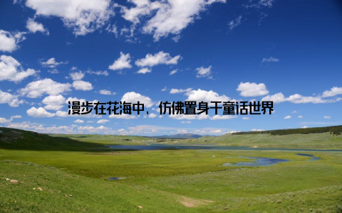 漫步在花海中, 仿佛置身于童话世界