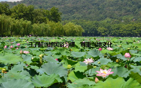 3了解当地风俗习惯, 尊重当地文化