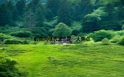 岭南风情表演也是一大亮点