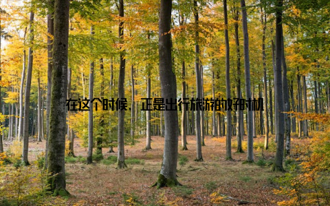 在这个时候, 正是出行旅游的好时机