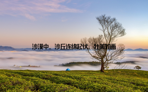 沙漠中, 沙丘连绵起伏, 壮美如画