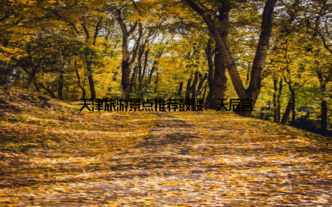 天津旅游景点推荐鼓楼、天后宫