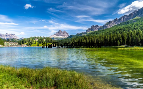 游客可以在这里尽情购物