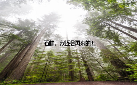 石林, 我还会再来的!