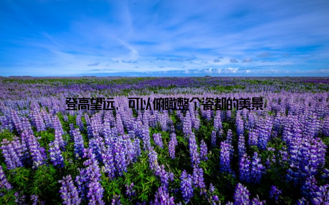 登高望远, 可以俯瞰整个瓷都的美景