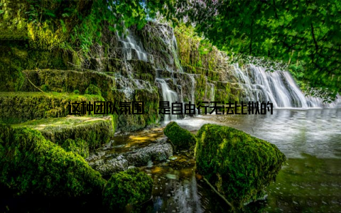 这种团队氛围, 是自由行无法比拟的