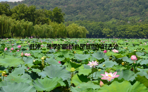 此外, 冬季的断桥也是赏雪的好去处