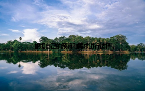 根据自己的预算和需求进行选择