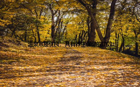 温泉水质优良, 具有养生保健的功效