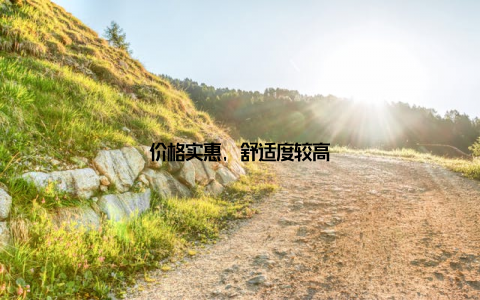 价格实惠, 舒适度较高