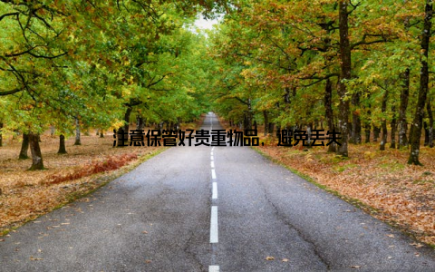 – 注意保管好贵重物品, 避免丢失