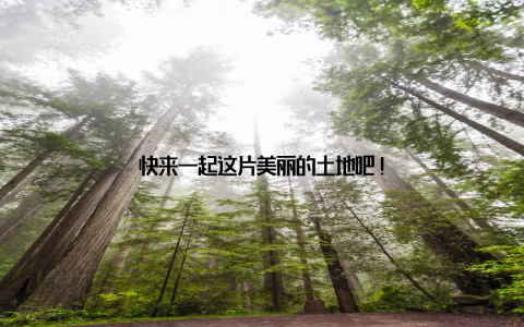 快来一起这片美丽的土地吧!