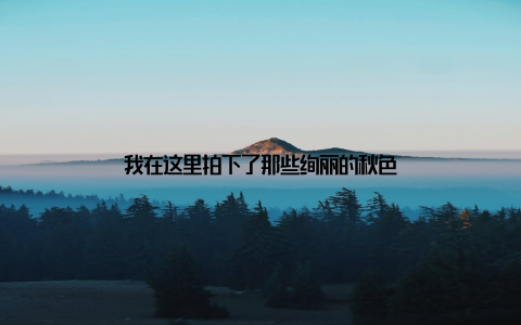 我在这里拍下了那些绚丽的秋色