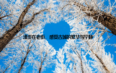 漫步在老街, 感受古城的繁华与宁静