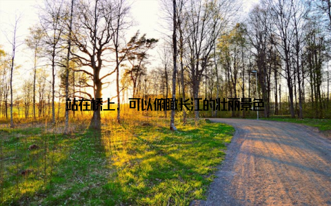 站在桥上, 可以俯瞰长江的壮丽景色