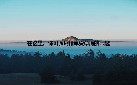 在这里, 你可以尽情享受草原的乐趣