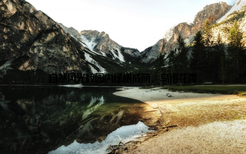 自然风光校园内绿树成荫, 鸟语花香