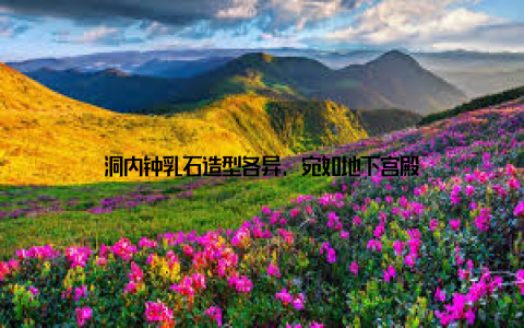 洞内钟乳石造型各异, 宛如地下宫殿