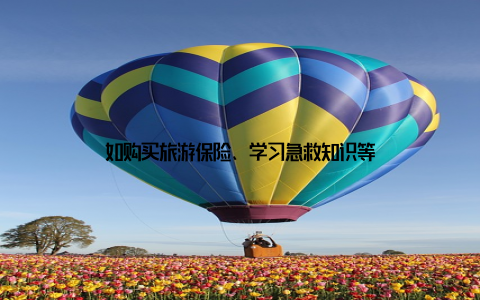 如购买旅游保险、学习急救知识等