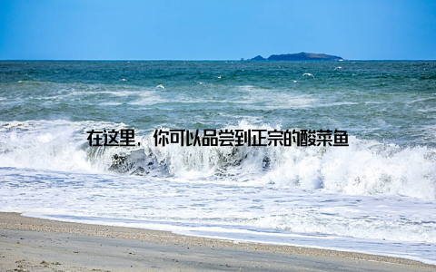 在这里, 你可以品尝到正宗的酸菜鱼