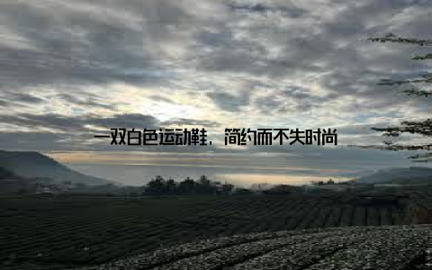 一双白色运动鞋, 简约而不失时尚