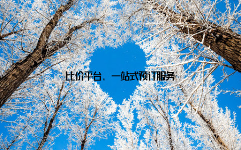 比价平台, 一站式预订服务