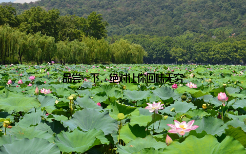 品尝一下, 绝对让你回味无穷