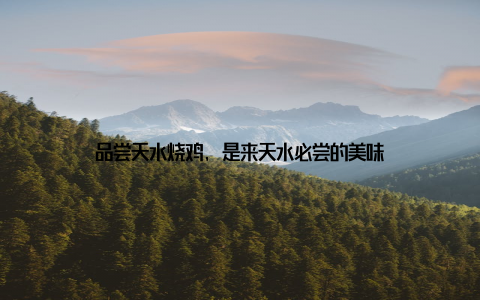 品尝天水烧鸡, 是来天水必尝的美味