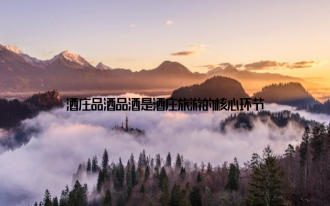 酒庄品酒品酒是酒庄旅游的核心环节