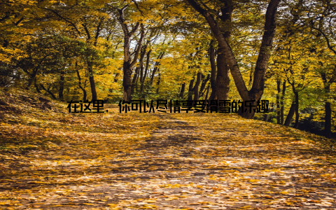 在这里, 你可以尽情享受滑雪的乐趣