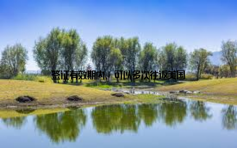 签证有效期内, 可以多次往返美国