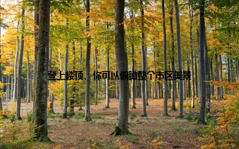 登上楼顶, 你可以俯瞰整个市区美景