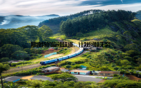 那独特的麻辣味道, 让我回味无穷