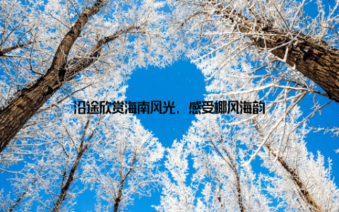 沿途欣赏海南风光, 感受椰风海韵