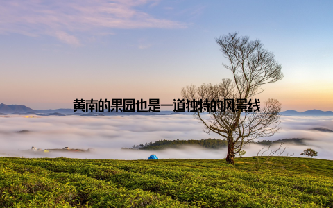 黄南的果园也是一道独特的风景线