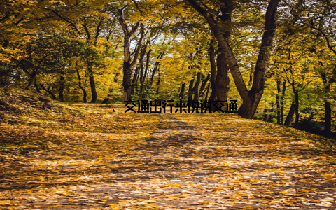 一、交通出行来说说交通