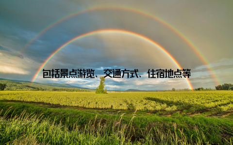 包括景点游览、交通方式、住宿地点等