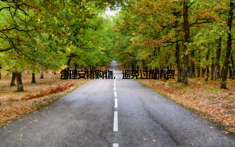 合理安排购物, 避免过度消费