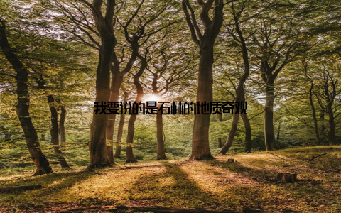 我要说的是石林的地质奇观