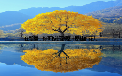 在新疆, 你可以听到原汁原味的花儿