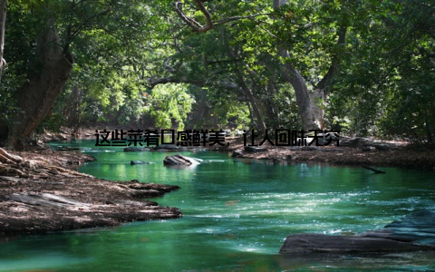 这些菜肴口感鲜美, 让人回味无穷