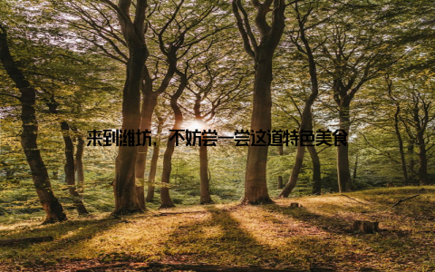 来到潍坊, 不妨尝一尝这道特色美食