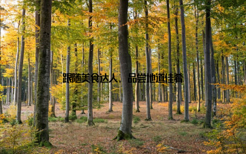 跟随美食达人, 品尝地道佳肴