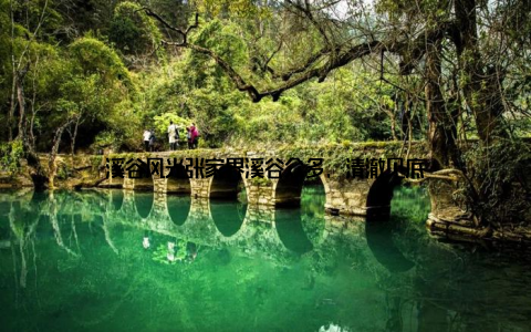 溪谷风光张家界溪谷众多, 清澈见底
